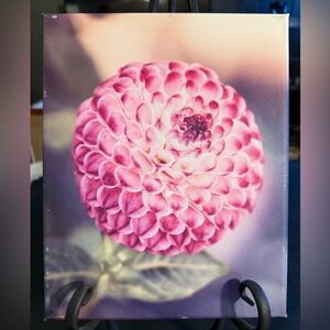 Original Photography Pink Floral Canvas Art